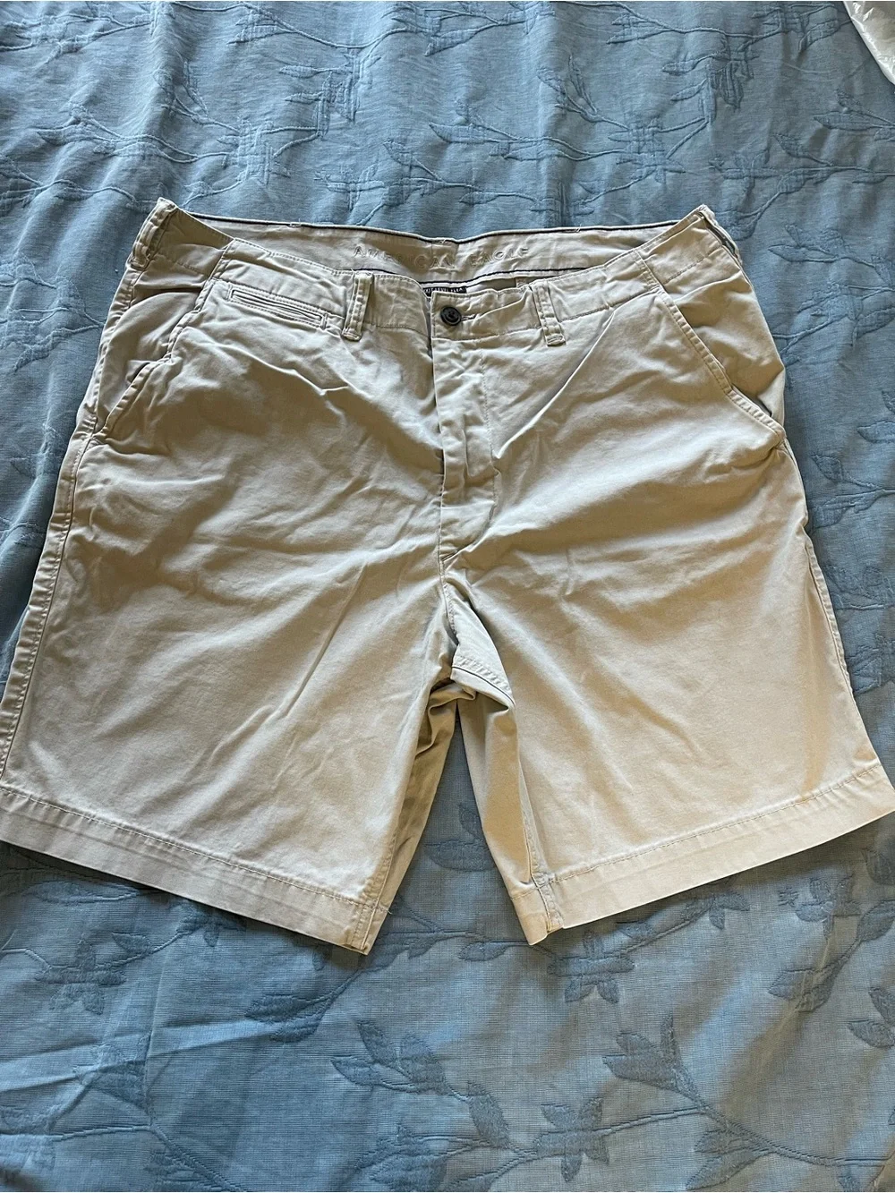 American Eagle Outfitters Men's Tan Flat Front Shorts
